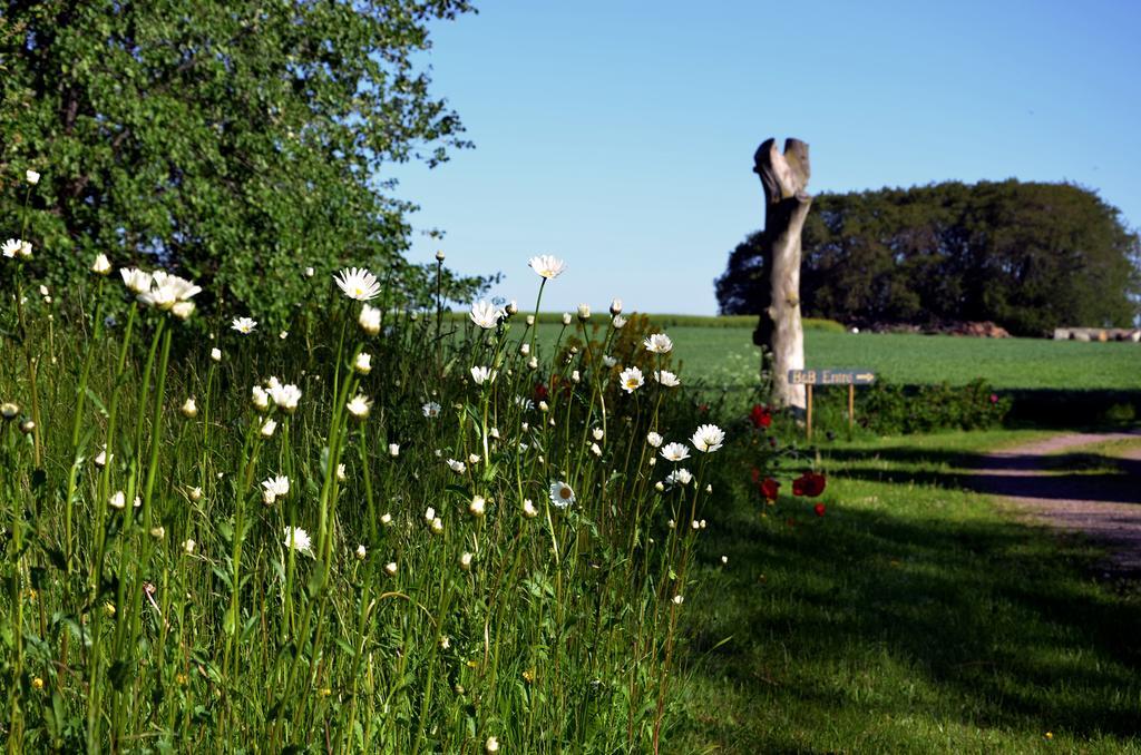 Torsborgs Gard Bed and Breakfast Simrishamn Habitación foto